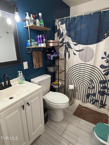 216 Willow Street, Mount Carmel, TN 37645