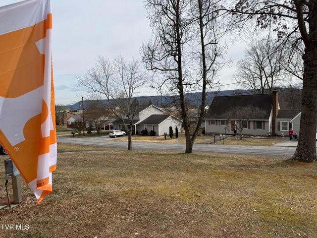 216 Willow Street, Mount Carmel, TN 37645