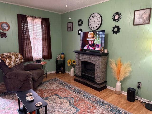 216 Willow Street, Mount Carmel, TN 37645