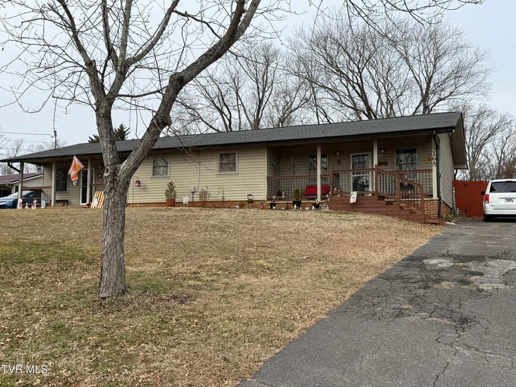 216 Willow Street, Mount Carmel, TN 37645