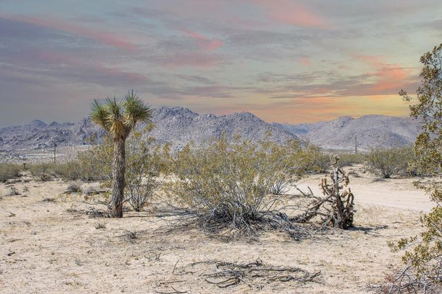 305 Two Mile Road, Joshua Tree, CA 92252