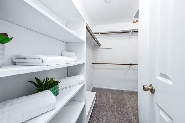 17102 Coachmaker Drive, Friendswood, TX 77546