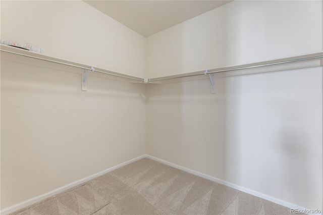 3491 Cade Court, Castle Rock, CO 80104