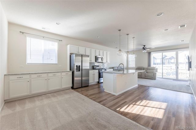 3491 Cade Court, Castle Rock, CO 80104