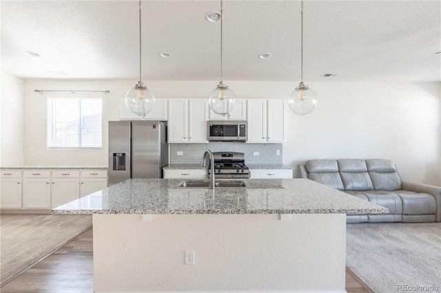 3491 Cade Court, Castle Rock, CO 80104