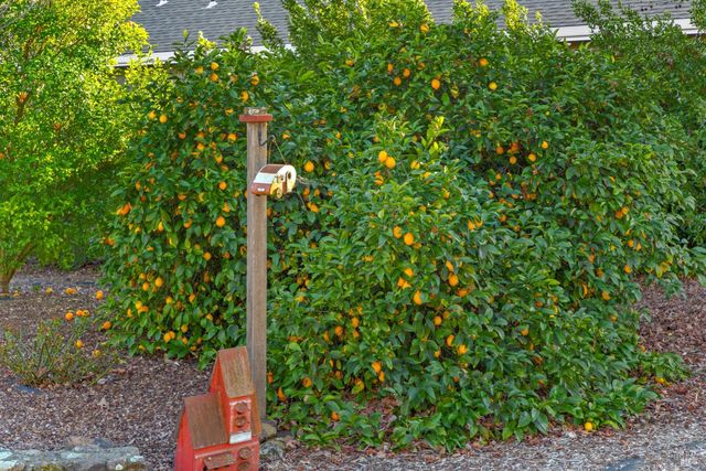 1245 Castle Rd, Sonoma, CA 95476