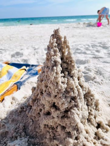 8294 E Co Highway 30A 17, Inlet Beach, FL 32461