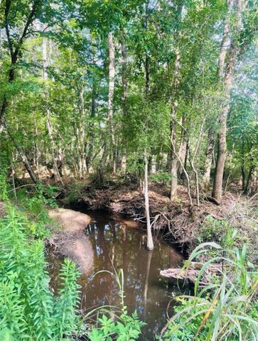 02 Bracewell Cemetery Road, Livingston, TX 77351