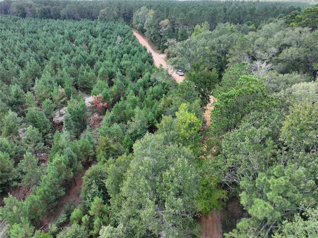 02 Bracewell Cemetery Road, Livingston, TX 77351