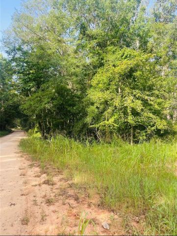 02 Bracewell Cemetery Road, Livingston, TX 77351