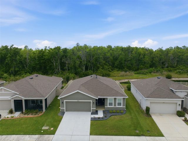 10325 GLIDING EAGLE WAY, Land O Lakes, FL 34638