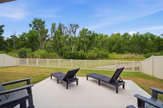 10325 GLIDING EAGLE WAY, Land O Lakes, FL 34638