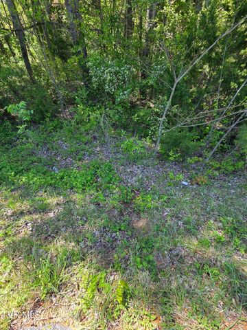 Tbd Summit Drive, Jonesborough, TN 37659