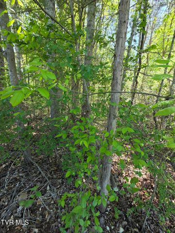 Tbd Summit Drive, Jonesborough, TN 37659
