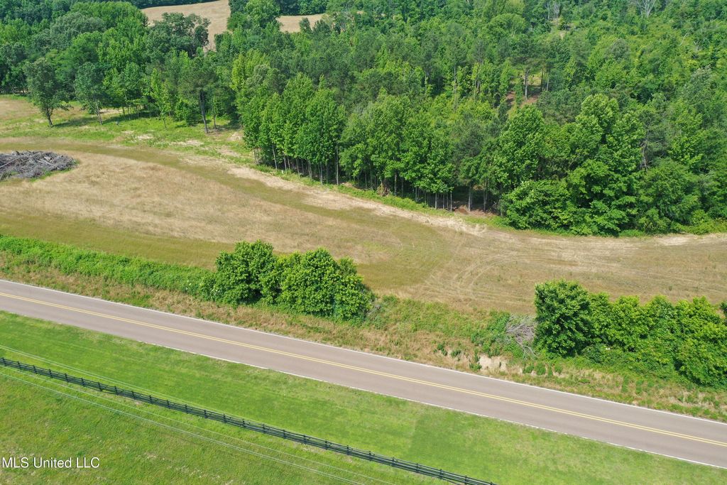 0 Baldwin Road, Lake Cormorant, MS 38641 — photo 2