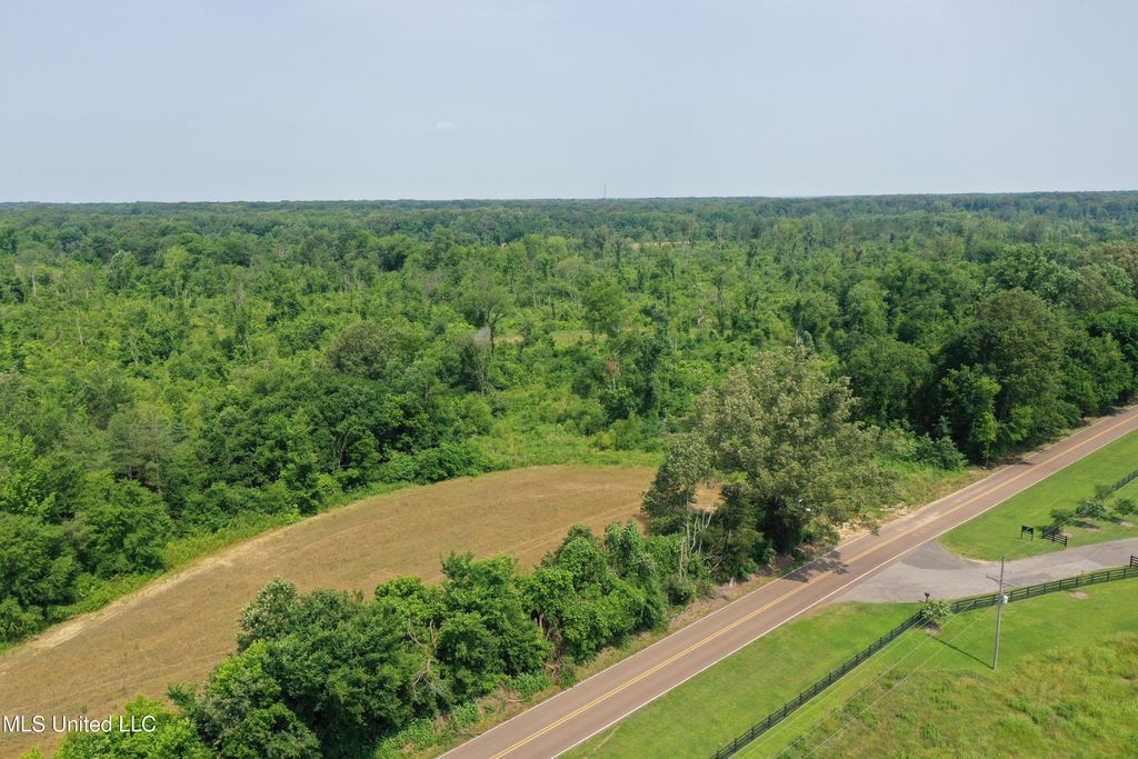 0 Baldwin Road, Lake Cormorant, MS 38641 — photo 4