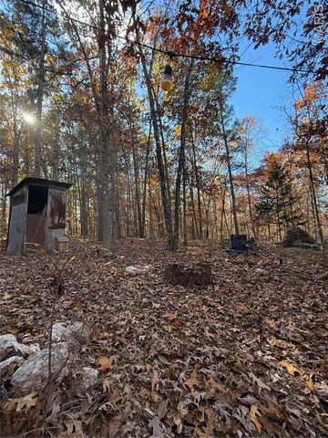 0 Madison 325, Fredericktown, MO 63645