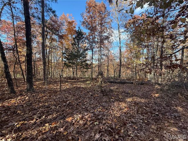 0 Madison 325, Fredericktown, MO 63645