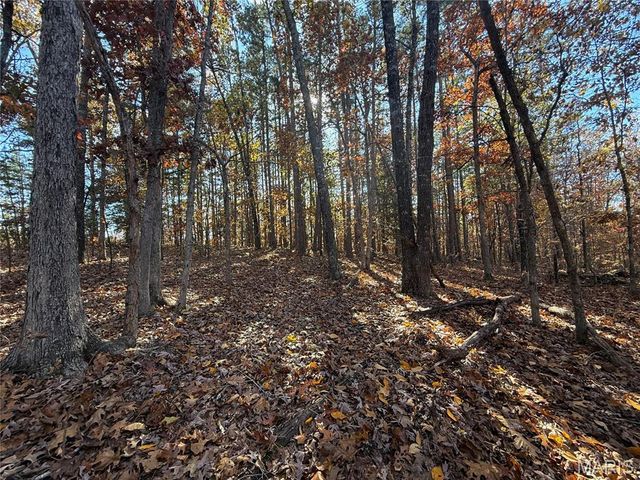 0 Madison 325, Fredericktown, MO 63645