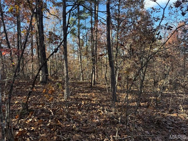 0 Madison 325, Fredericktown, MO 63645