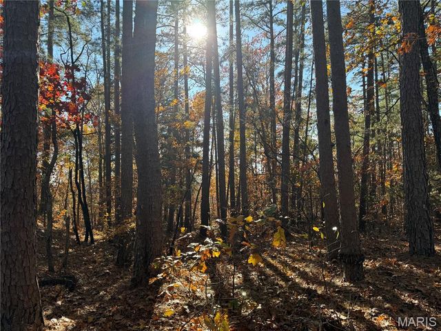 0 Madison 325, Fredericktown, MO 63645