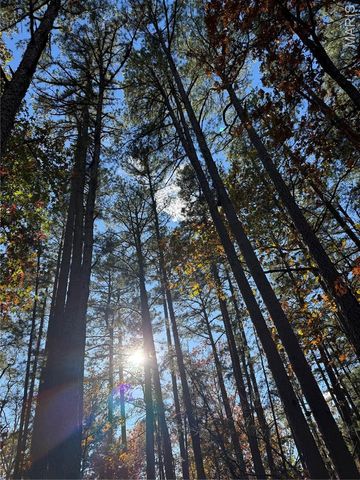 0 Madison 325, Fredericktown, MO 63645