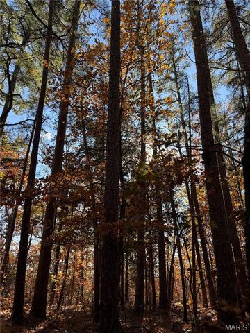 0 Madison 325, Fredericktown, MO 63645