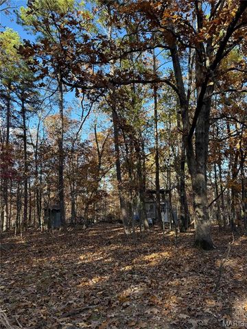 0 Madison 325, Fredericktown, MO 63645