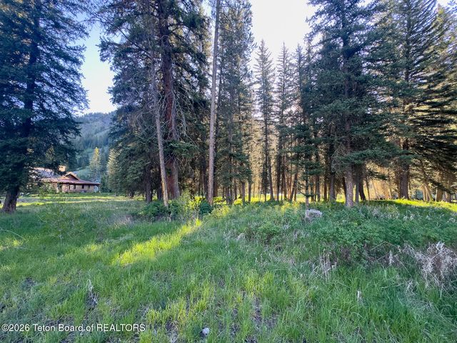 15635 S WAGON Road, Jackson, WY 83001