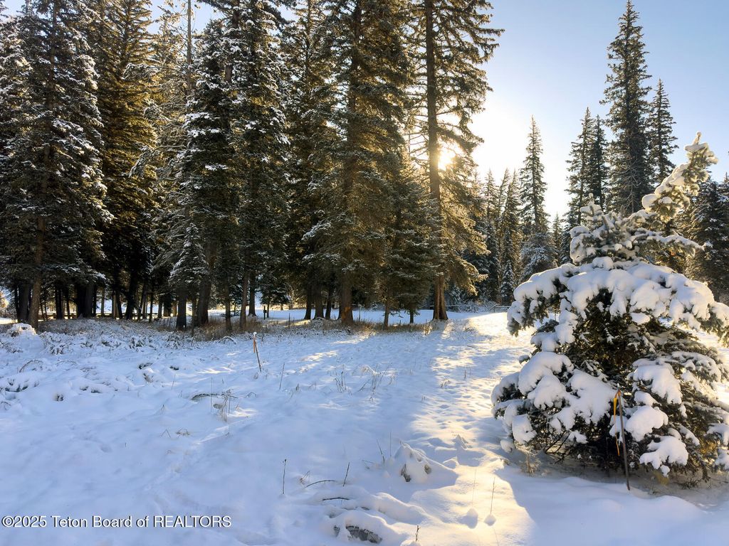 15635 S WAGON Road, Jackson, WY 83001 photo 2