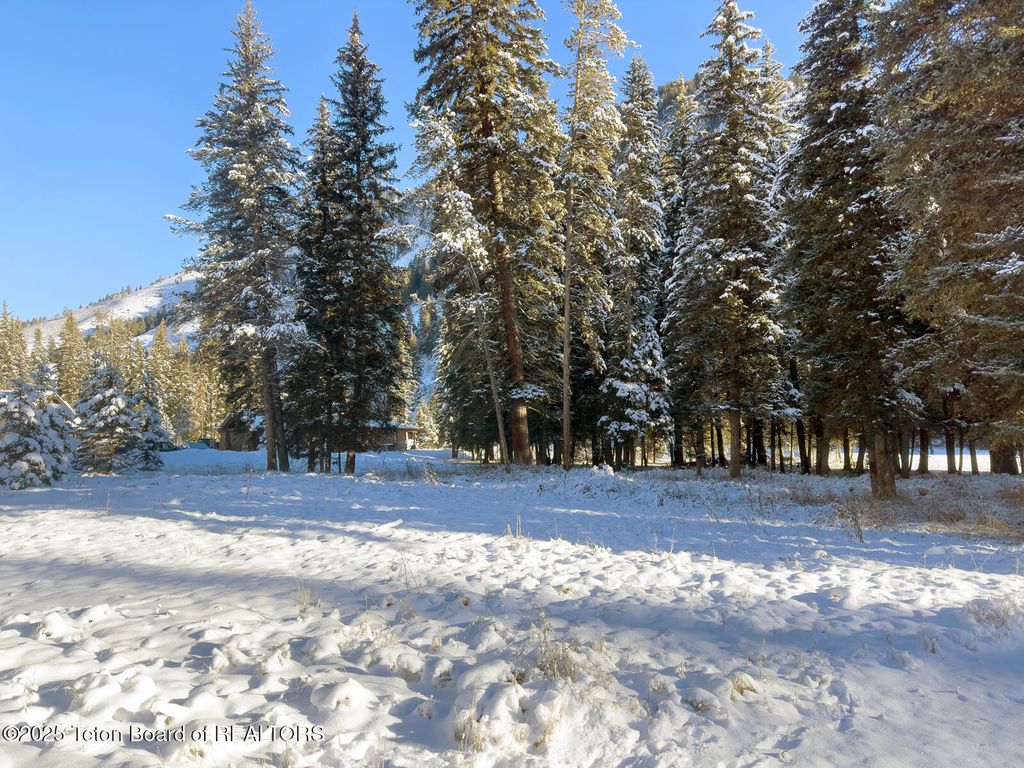 15635 S WAGON Road, Jackson, WY 83001 photo 3