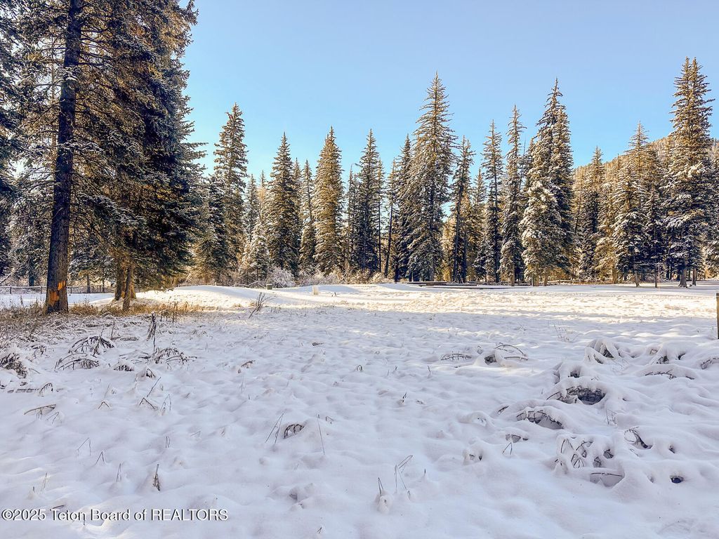 15635 S WAGON Road, Jackson, WY 83001 photo 5