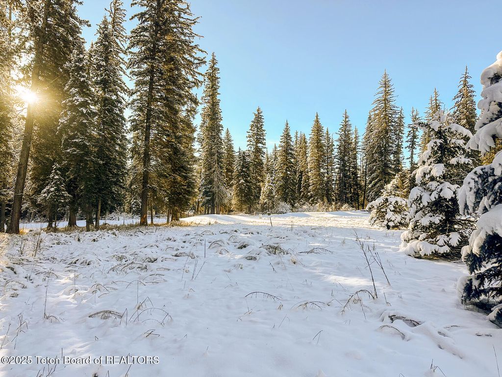 15635 S WAGON Road, Jackson, WY 83001 photo 6