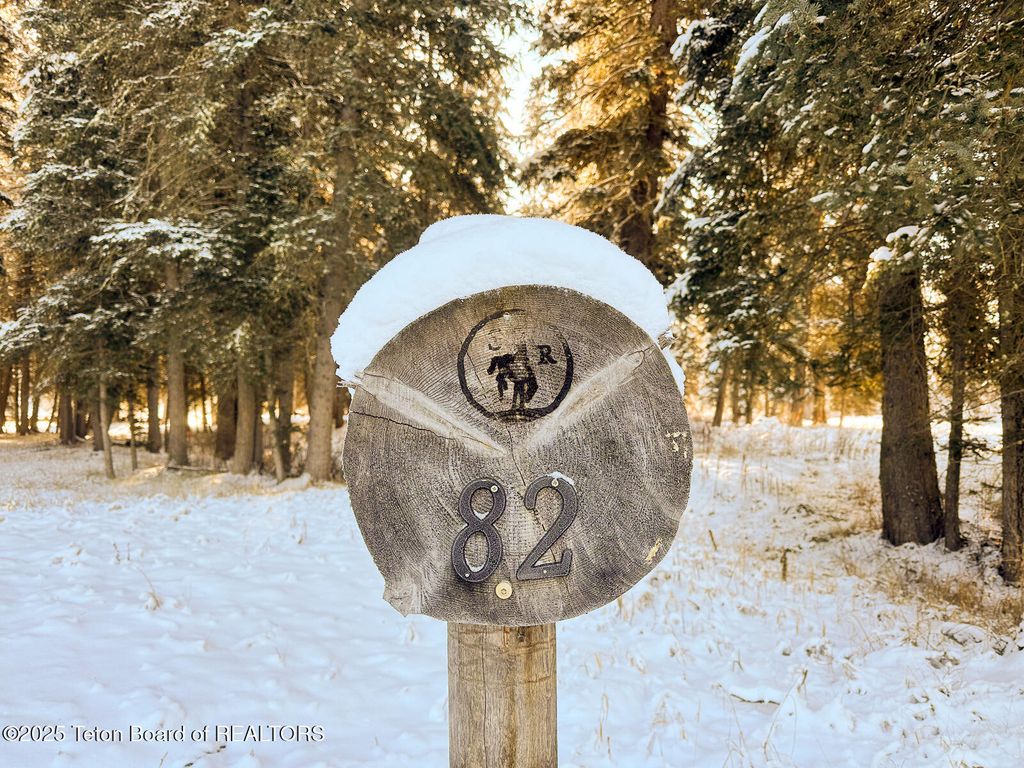 15635 S WAGON Road, Jackson, WY 83001 photo 7