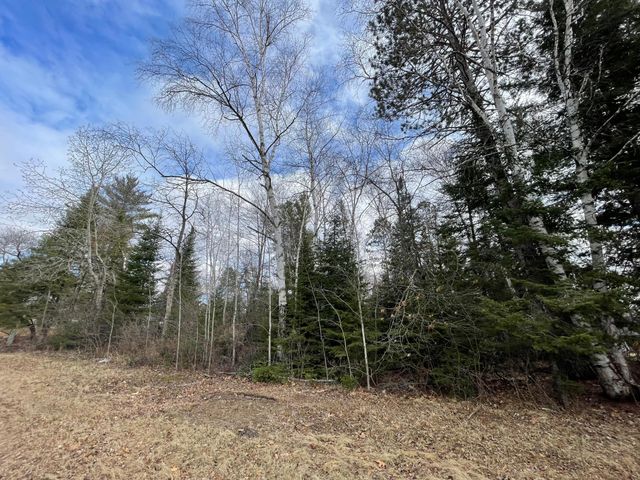 TBD Wildwood Road, Farden Twp, MN 56633