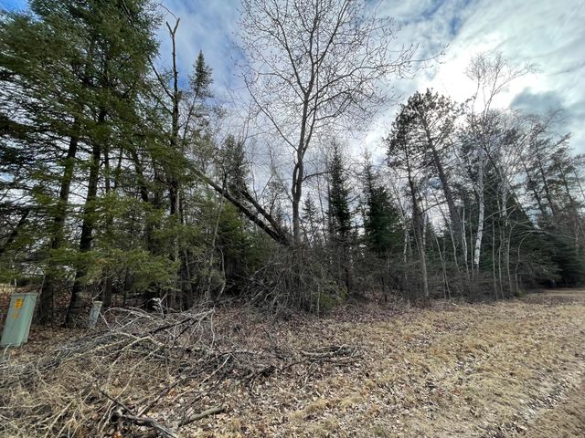 TBD Wildwood Road, Farden Twp, MN 56633