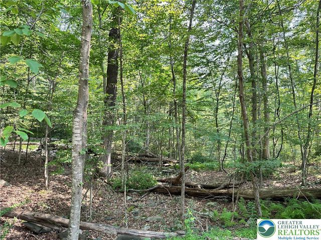 St Moritz Court 3F, Price Twp, PA 18332