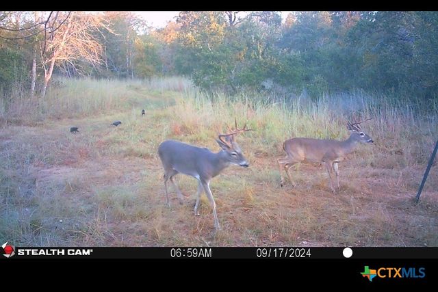 1168 CR 405, Buckholts, TX 76518