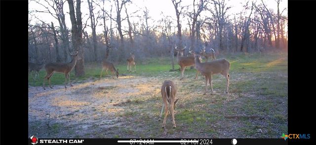 1168 CR 405, Buckholts, TX 76518