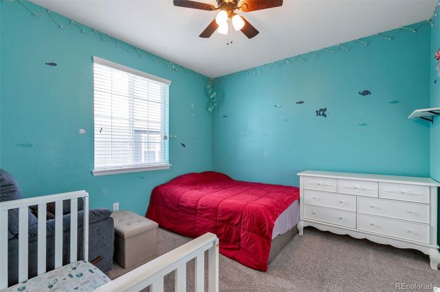 2990 Echo Park Drive, Castle Rock, CO 80104