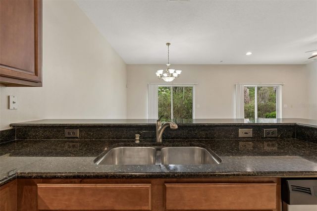 20112 INDIAN ROSEWOOD DRIVE, Tampa, FL 33647