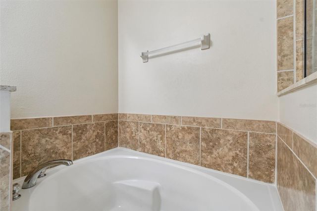 20112 INDIAN ROSEWOOD DRIVE, Tampa, FL 33647