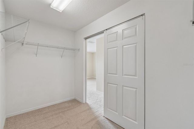 20112 INDIAN ROSEWOOD DRIVE, Tampa, FL 33647
