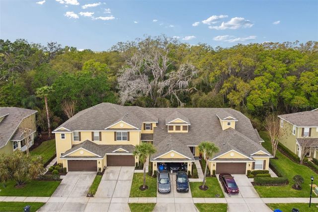 20112 INDIAN ROSEWOOD DRIVE, Tampa, FL 33647