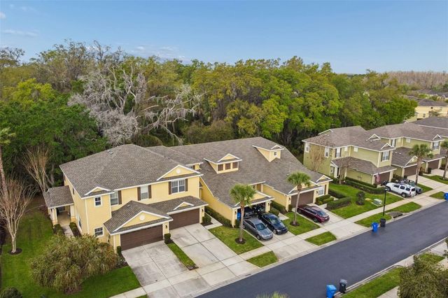 20112 INDIAN ROSEWOOD DRIVE, Tampa, FL 33647