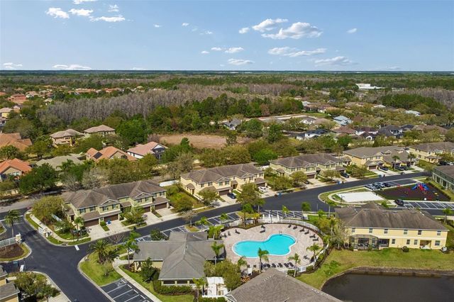 20112 INDIAN ROSEWOOD DRIVE, Tampa, FL 33647