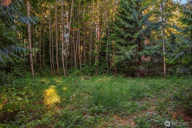 107 133rd Street SW, Vashon, WA 98070