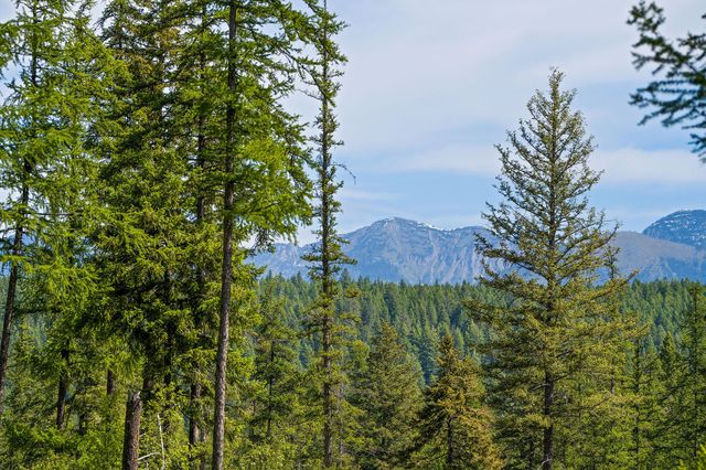 429 Chief Cliff Trail, Bigfork, MT 59911 property photo