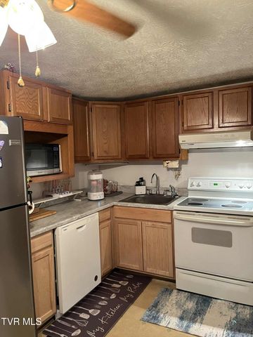 229 Aesque Street, Kingsport, TN 37665