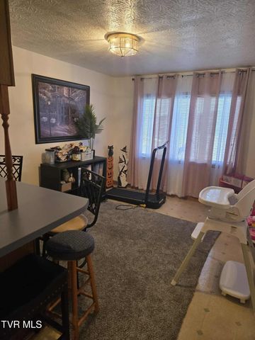 229 Aesque Street, Kingsport, TN 37665